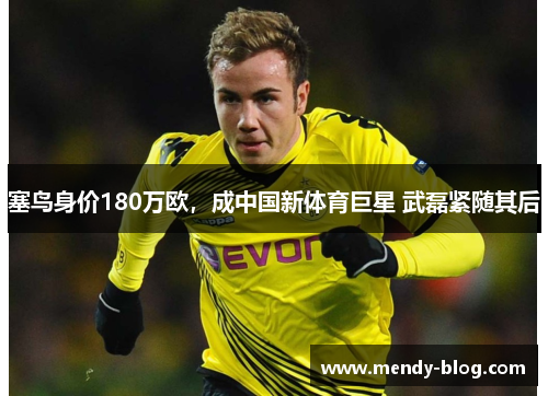 塞鸟身价180万欧，成中国新体育巨星 武磊紧随其后
